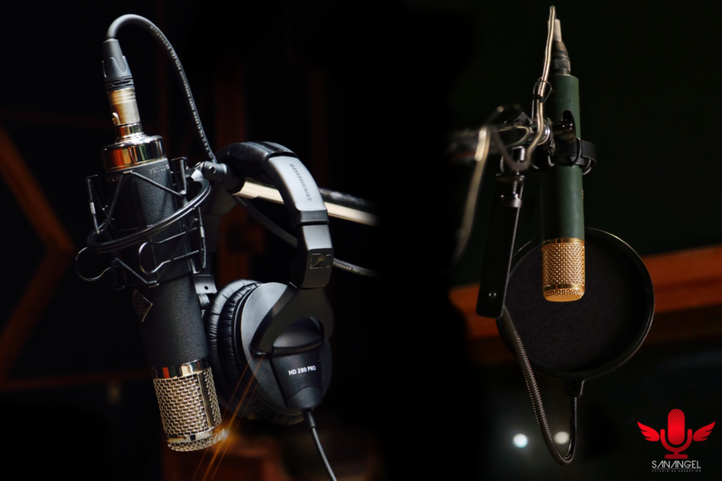 MIC'S
C-12 AKG
AK-47 TELEFUNKEN
NEUMANN U87
NEUMANN TLM 127
AKG C-414
SENNHEISER MD 421
SENNHEISER MD 441
AKG C1000S
AKG C3000B
AKG D112
SHURE SM57
SHURE BG 6.1